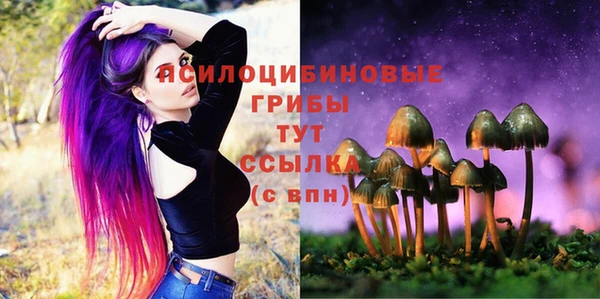а пвп мука Балабаново
