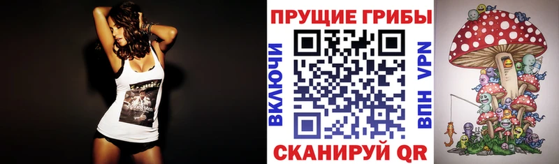 Галлюциногенные грибы мицелий  kraken ссылки  Лукоянов 